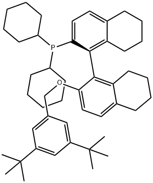 (1R)-Dicyclohexyl(2'-((3,5-di-tert-butylbenzyl)oxy)-5,5',6,6',7,7',8,8'-octahydro-[1,1'-binaphthalen]-2-yl)phosphine 구조식 이미지