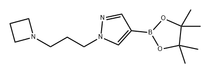 1H-Pyrazole, 1-[3-(1-azetidinyl)propyl]-4-(4,4,5,5-tetramethyl-1,3,2-dioxaborolan-2-yl)- Structure