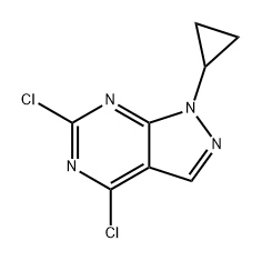 1H-Pyrazolo[3,4-d]pyrimidine, 4,6-dichloro-1-cyclopropyl- 구조식 이미지