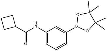 Cyclobutanecarboxamide, N-[3-(4,4,5,5-tetramethyl-1,3,2-dioxaborolan-2-yl)phenyl]- Structure