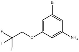 3-Bromo-5-(2,2,2-trifluoroethoxy)aniline Structure
