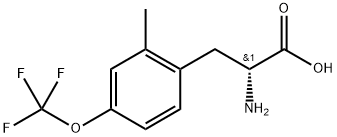 (2R)-2-amino-3-[2-methyl-4-(trifluoromethoxy)phenyl]propanoic acid Structure