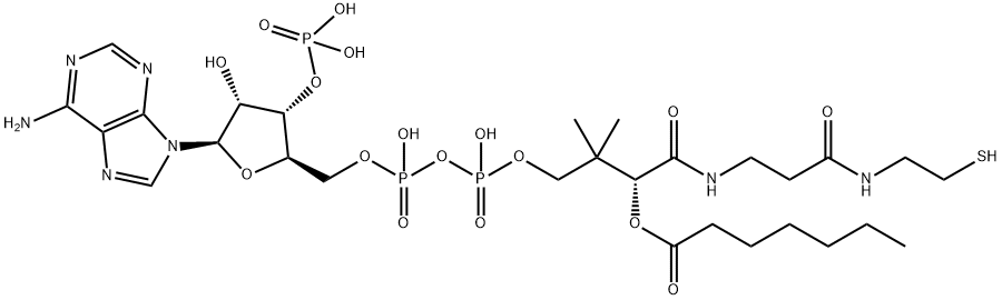 Coenzyme A, S-heptanoate Structure