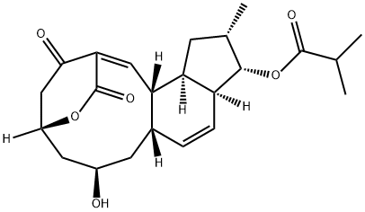 Propanoic acid, 2-methyl-, (5R,7R,8aS,10aS,11S,12S,13aR,13bS)-3,5,6,7,8,8a,10a,11,12,13,13a,13b-dodecahydro-7-hydroxy-12-methyl-3,15-dioxo-2,5-ethano(1Z)-indeno[4,5-e]oxecin-11-yl ester Structure