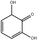 2,4-Cyclohexadien-1-one, 2,6-dihydroxy- Structure