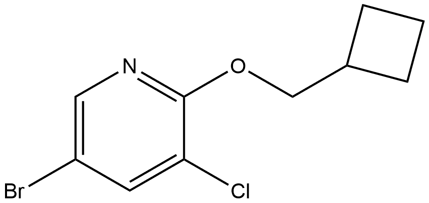 5-Bromo-3-chloro-2-(cyclobutylmethoxy)pyridine Structure