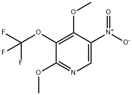 2,4-Dimethoxy-5-nitro-3-(trifluoromethoxy)pyridine Structure