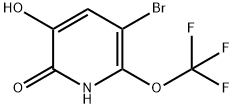 5-Bromo-2,3-dihydroxy-6-(trifluoromethoxy)pyridine Structure