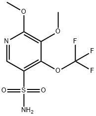 2,3-Dimethoxy-4-(trifluoromethoxy)pyridine-5-sulfonamide Structure