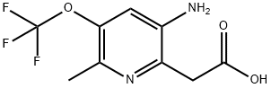 5-Amino-2-methyl-3-(trifluoromethoxy)pyridine-6-acetic acid Structure