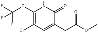 Methyl 3-chloro-6-hydroxy-2-(trifluoromethoxy)pyridine-5-acetate Structure