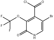 5-Bromo-2-hydroxy-3-(trifluoromethoxy)pyridine-4-carbonyl chloride Structure