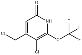 3-Chloro-4-(chloromethyl)-6-hydroxy-2-(trifluoromethoxy)pyridine Structure