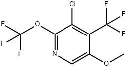 3-Chloro-5-methoxy-2-(trifluoromethoxy)-4-(trifluoromethyl)pyridine Structure