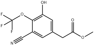 Methyl 3-cyano-5-hydroxy-4-(trifluoromethoxy)phenylacetate Structure