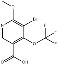 3-Bromo-2-methoxy-4-(trifluoromethoxy)pyridine-5-carboxylic acid Structure