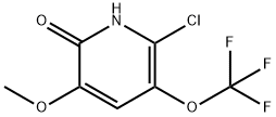 2-Chloro-6-hydroxy-5-methoxy-3-(trifluoromethoxy)pyridine 구조식 이미지
