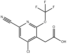 4-Chloro-6-cyano-2-(trifluoromethoxy)pyridine-3-acetic acid Structure