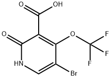 5-Bromo-2-hydroxy-4-(trifluoromethoxy)pyridine-3-carboxylic acid Structure