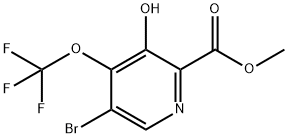 Methyl 5-bromo-3-hydroxy-4-(trifluoromethoxy)pyridine-2-carboxylate Structure