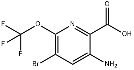 3-Amino-5-bromo-6-(trifluoromethoxy)pyridine-2-carboxylic acid Structure