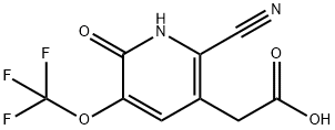 2-Cyano-6-hydroxy-5-(trifluoromethoxy)pyridine-3-acetic acid Structure