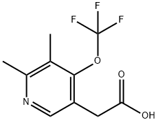 2,3-Dimethyl-4-(trifluoromethoxy)pyridine-5-acetic acid Structure