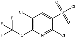 3,6-Dichloro-2-(trifluoromethoxy)pyridine-5-sulfonyl chloride Structure