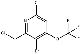 3-Bromo-6-chloro-2-(chloromethyl)-4-(trifluoromethoxy)pyridine Structure