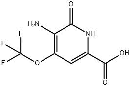 3-Amino-2-hydroxy-4-(trifluoromethoxy)pyridine-6-carboxylic acid Structure