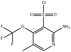 2-Amino-5-methyl-4-(trifluoromethoxy)pyridine-3-sulfonyl chloride 구조식 이미지