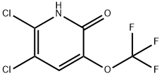 2,3-Dichloro-6-hydroxy-5-(trifluoromethoxy)pyridine Structure