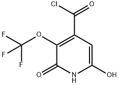 2,6-Dihydroxy-3-(trifluoromethoxy)pyridine-4-carbonyl chloride Structure