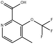 4-Methyl-3-(trifluoromethoxy)pyridine-2-carboxylic acid Structure