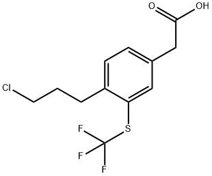 4-(3-Chloropropyl)-3-(trifluoromethylthio)phenylacetic acid Structure