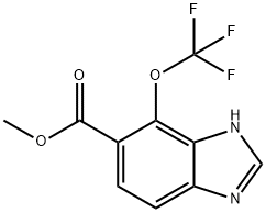 Methyl 4-trifluoromethoxy-1H-benzimidazole-5-carboxylate Structure