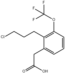 2-(3-Chloropropyl)-3-(trifluoromethoxy)phenylacetic acid Structure