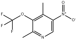 2,4-Dimethyl-5-nitro-3-(trifluoromethoxy)pyridine Structure