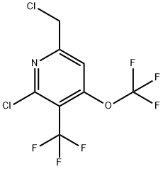 2-Chloro-6-(chloromethyl)-4-(trifluoromethoxy)-3-(trifluoromethyl)pyridine Structure