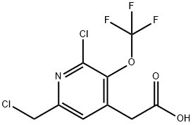 2-Chloro-6-(chloromethyl)-3-(trifluoromethoxy)pyridine-4-acetic acid Structure