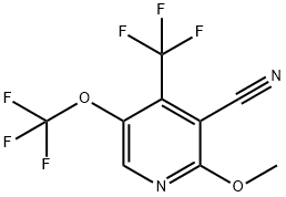 3-Cyano-2-methoxy-5-(trifluoromethoxy)-4-(trifluoromethyl)pyridine Structure