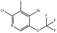 4-Bromo-2-chloro-3-methyl-5-(trifluoromethoxy)pyridine Structure