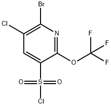 2-Bromo-3-chloro-6-(trifluoromethoxy)pyridine-5-sulfonyl chloride Structure