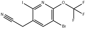 3-Bromo-6-iodo-2-(trifluoromethoxy)pyridine-5-acetonitrile Structure