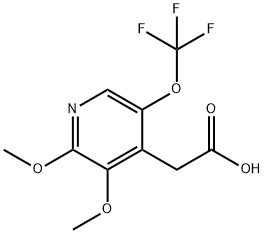 2,3-Dimethoxy-5-(trifluoromethoxy)pyridine-4-acetic acid Structure