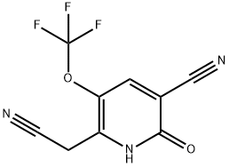 3-Cyano-2-hydroxy-5-(trifluoromethoxy)pyridine-6-acetonitrile 구조식 이미지