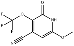 4-Cyano-2-hydroxy-6-methoxy-3-(trifluoromethoxy)pyridine 구조식 이미지