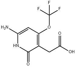 6-Amino-2-hydroxy-4-(trifluoromethoxy)pyridine-3-acetic acid Structure