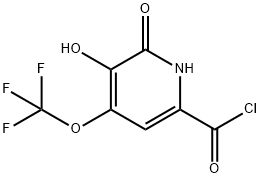 2,3-Dihydroxy-4-(trifluoromethoxy)pyridine-6-carbonyl chloride Structure