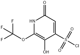 3,6-Dihydroxy-2-(trifluoromethoxy)pyridine-4-sulfonyl chloride Structure